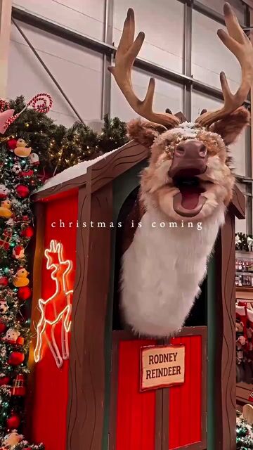 Christmas shop opening