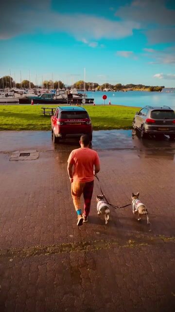 Pet Travel & Automotive Lifestyle Content