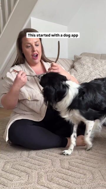 Pet Tech Storytelling