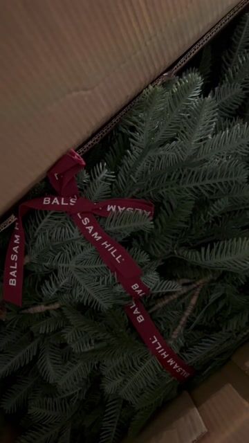 Christmas is here