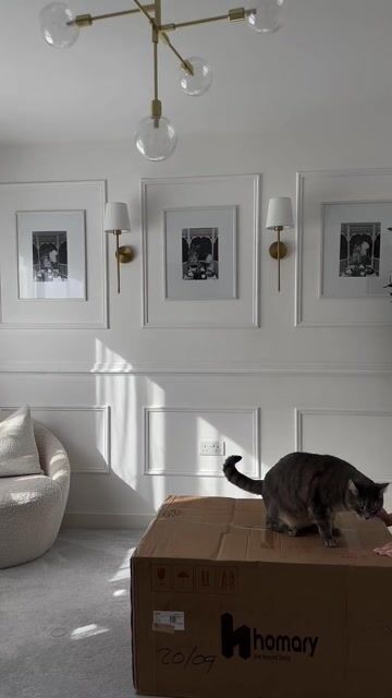 Home & Interiors UGC | Unboxing & Product Showcase