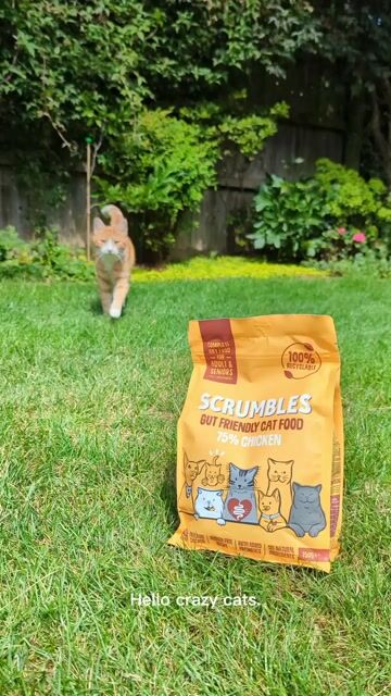 Scrumbles Cat Food Ad